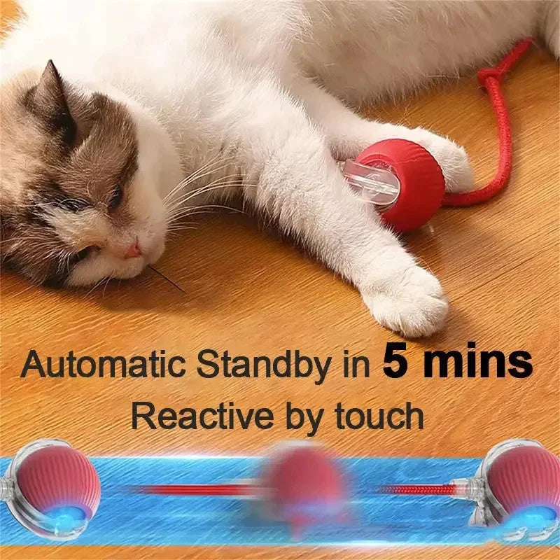 InteractiveRechargeableCatBallToycashymart39142318768406jpg Urban Pet Play Ltd | AwardWinning Pet Care Pet Shop