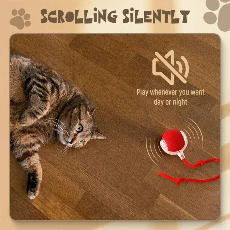 InteractiveRechargeableCatBallToycashymart39142318801174jpg Urban Pet Play Ltd | AwardWinning Pet Care Pet Shop