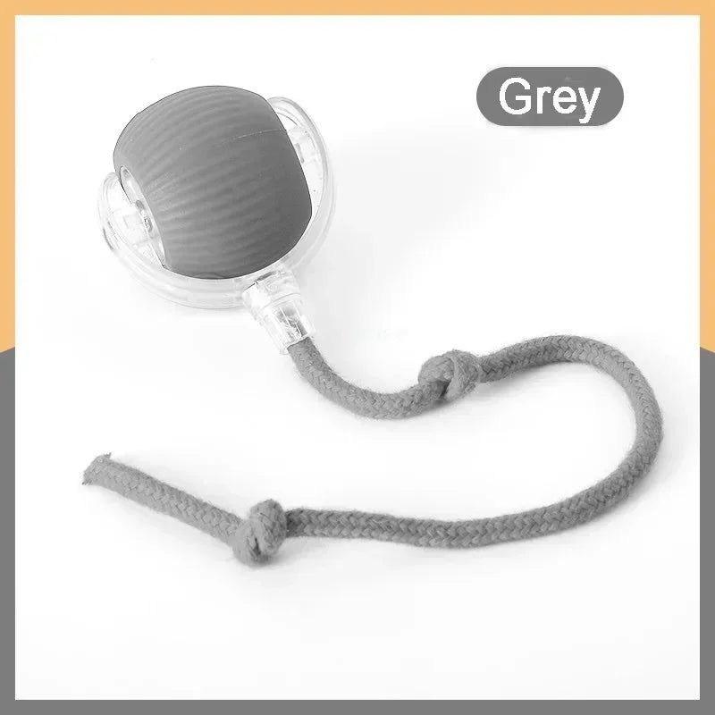 InteractiveRechargeableCatBallToycashymart39142318899478jpg Urban Pet Play Ltd | AwardWinning Pet Care Pet Shop