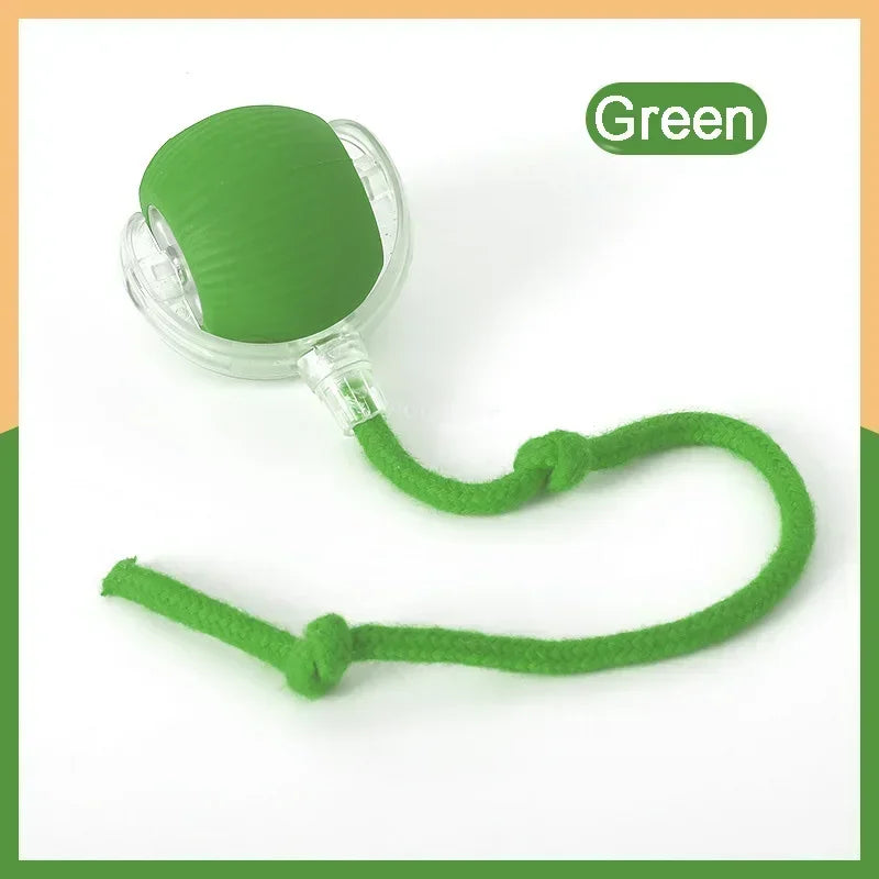 InteractiveRechargeableCatBallToycashymart39142318932246jpg Urban Pet Play Ltd | AwardWinning Pet Care Pet Shop