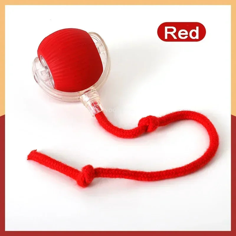 InteractiveRechargeableCatBallToycashymart39142318965014jpg Urban Pet Play Ltd | AwardWinning Pet Care Pet Shop