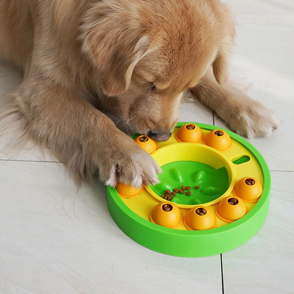 InteractiveSlowFeederPuzzleToyforDogscashymart35591842398486jpg Urban Pet Play Ltd | AwardWinning Pet Care Pet Shop