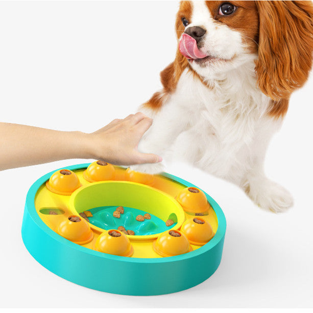 InteractiveSlowFeederPuzzleToyforDogscashymart35591842627862jpg Urban Pet Play Ltd | AwardWinning Pet Care Pet Shop