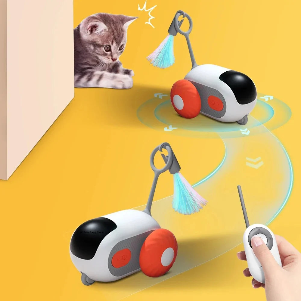 InteractiveSmartCatToyCarcashymart39142311133462jpg Urban Pet Play Ltd | AwardWinning Pet Care Pet Shop