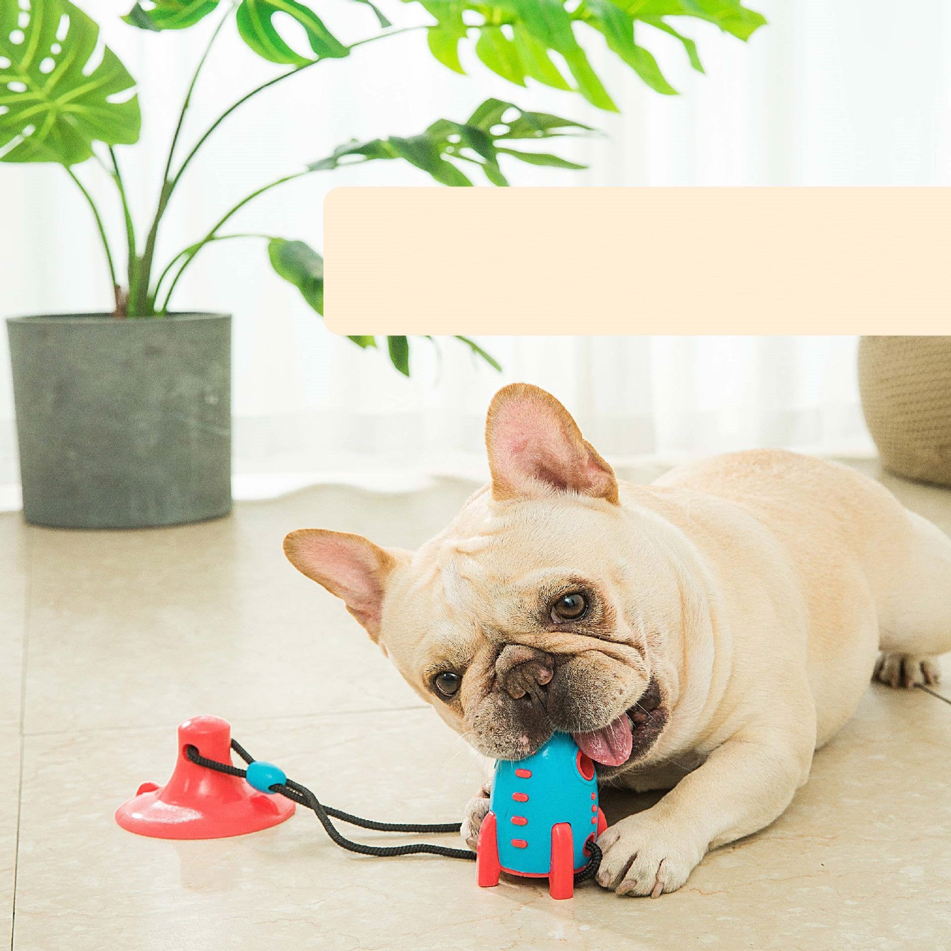 LeakProofInteractiveDogChewToycashymart35591800324374jpg Urban Pet Play Ltd | AwardWinning Pet Care Pet Shop