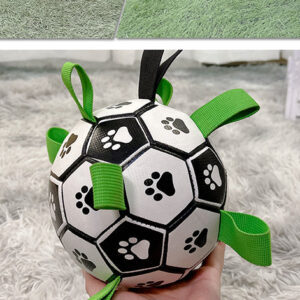 Lovely Paw Football Dog Toy