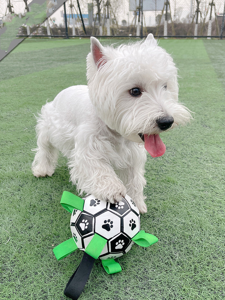 LovelyPawFootballDogToycashymart35591825490198jpg Urban Pet Play Ltd | AwardWinning Pet Care Pet Shop