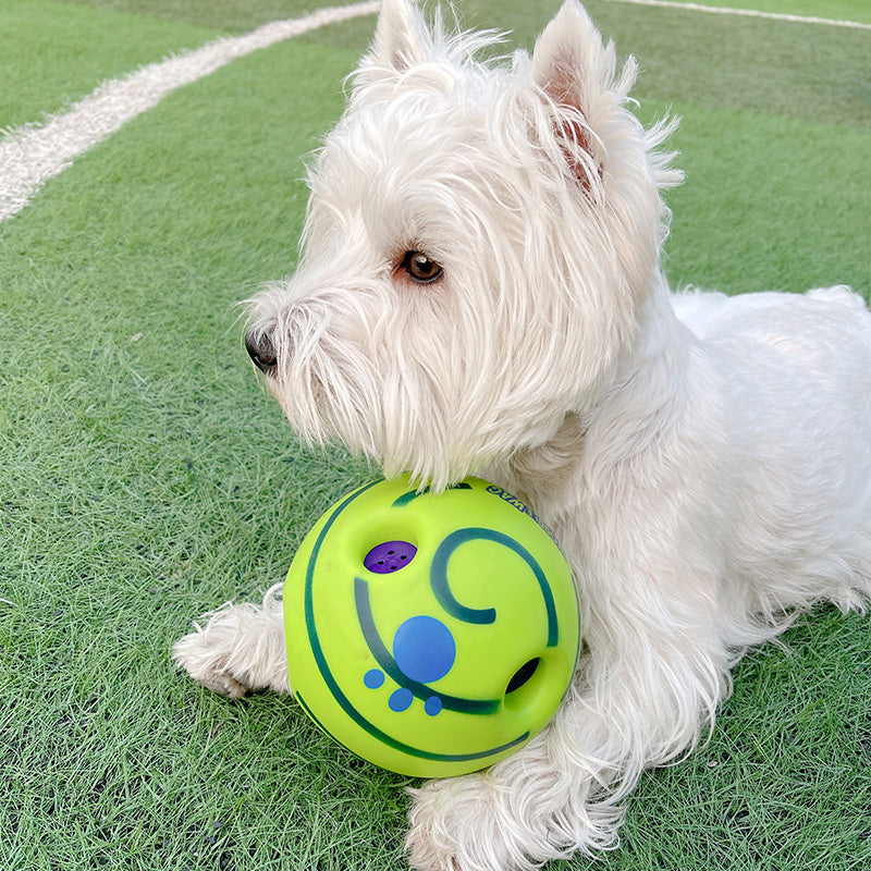 LovelyPawFootballDogToycashymart35591825948950jpg Urban Pet Play Ltd | AwardWinning Pet Care Pet Shop