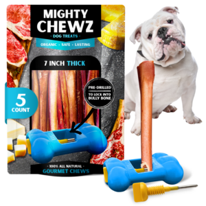 7" Thick Bully Sticks - Bully Bone Included
