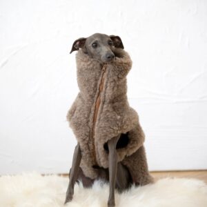 Woolen Dog Vest - Beige