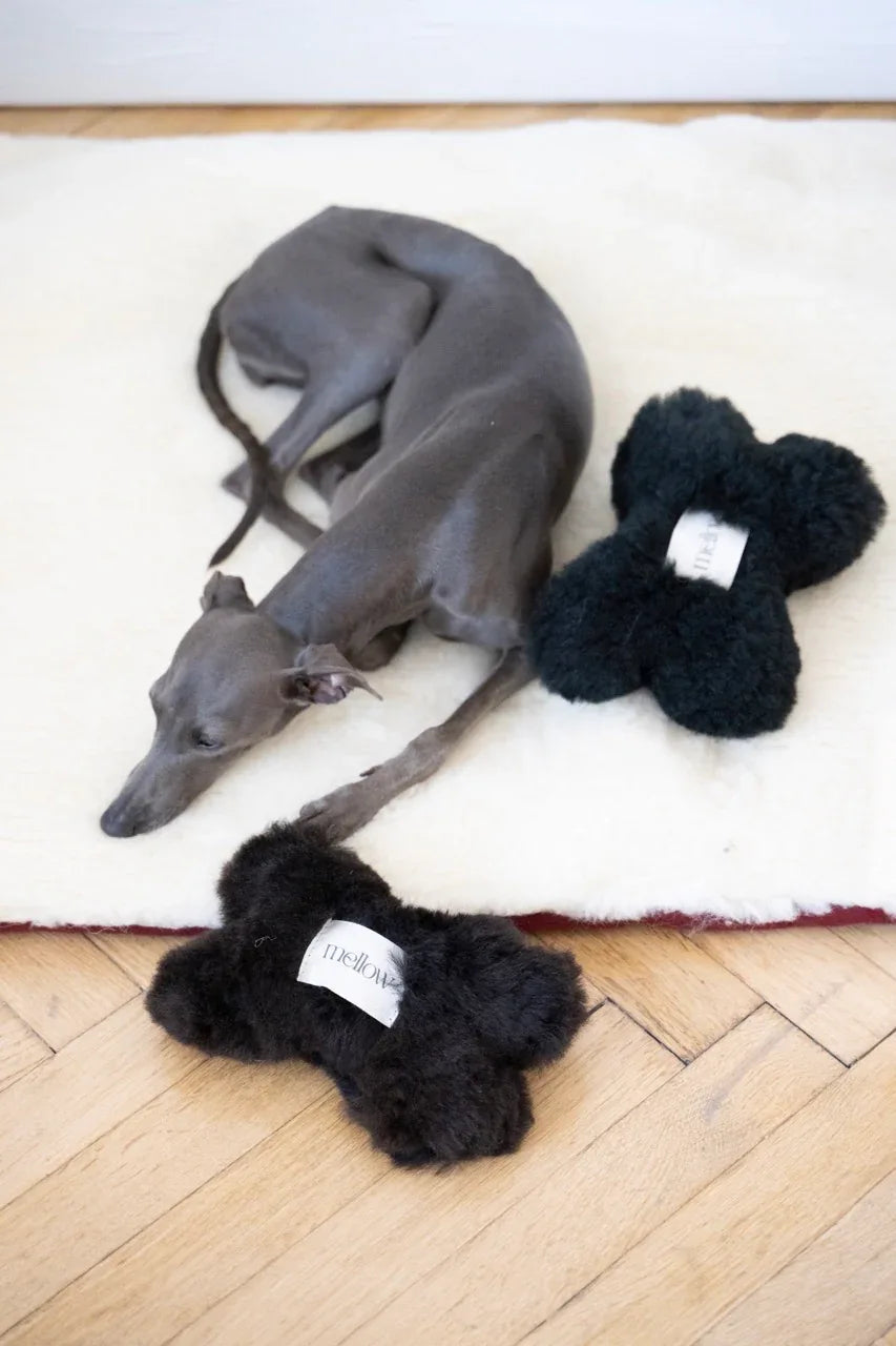MSG5193LargeLarge4d489e29611c4c4bb8431ebc4582cd7cjpg Urban Pet Play Ltd | AwardWinning Pet Care Pet Shop