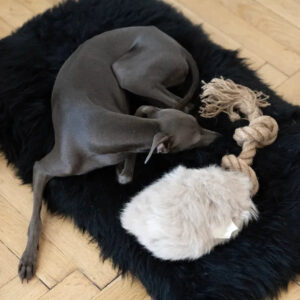 Natural Sheepskin Dog Tug Toy - Beige