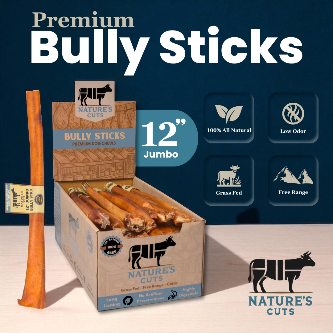 NCBUL12JMBDISP1png Urban Pet Play Ltd | AwardWinning Pet Care Pet Shop