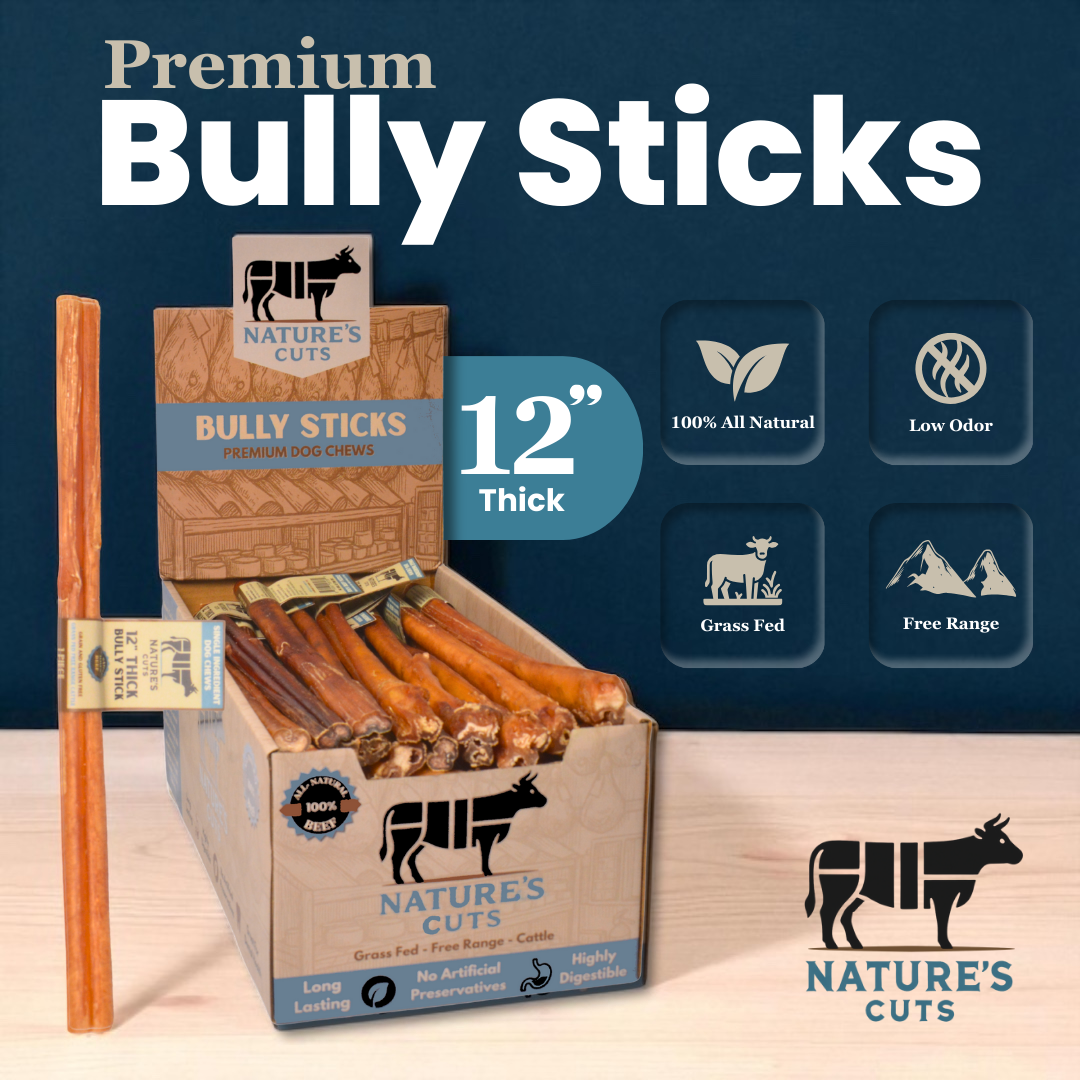 NCBUL12THKDISP1png Urban Pet Play Ltd | AwardWinning Pet Care Pet Shop