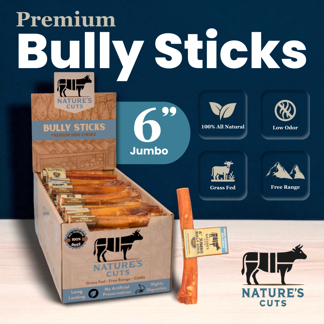NCBUL6JMBDISP1png Urban Pet Play Ltd | AwardWinning Pet Care Pet Shop