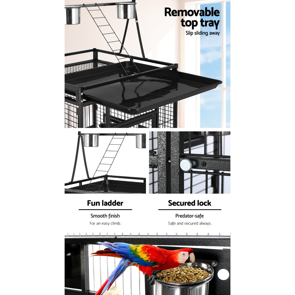 PETBIRDCAGEH17320250228180203jpg Urban Pet Play Ltd | AwardWinning Pet Care Pet Shop