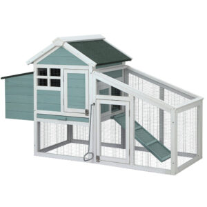PETCH100GW00jpg Urban Pet Play Ltd | AwardWinning Pet Care Pet Shop