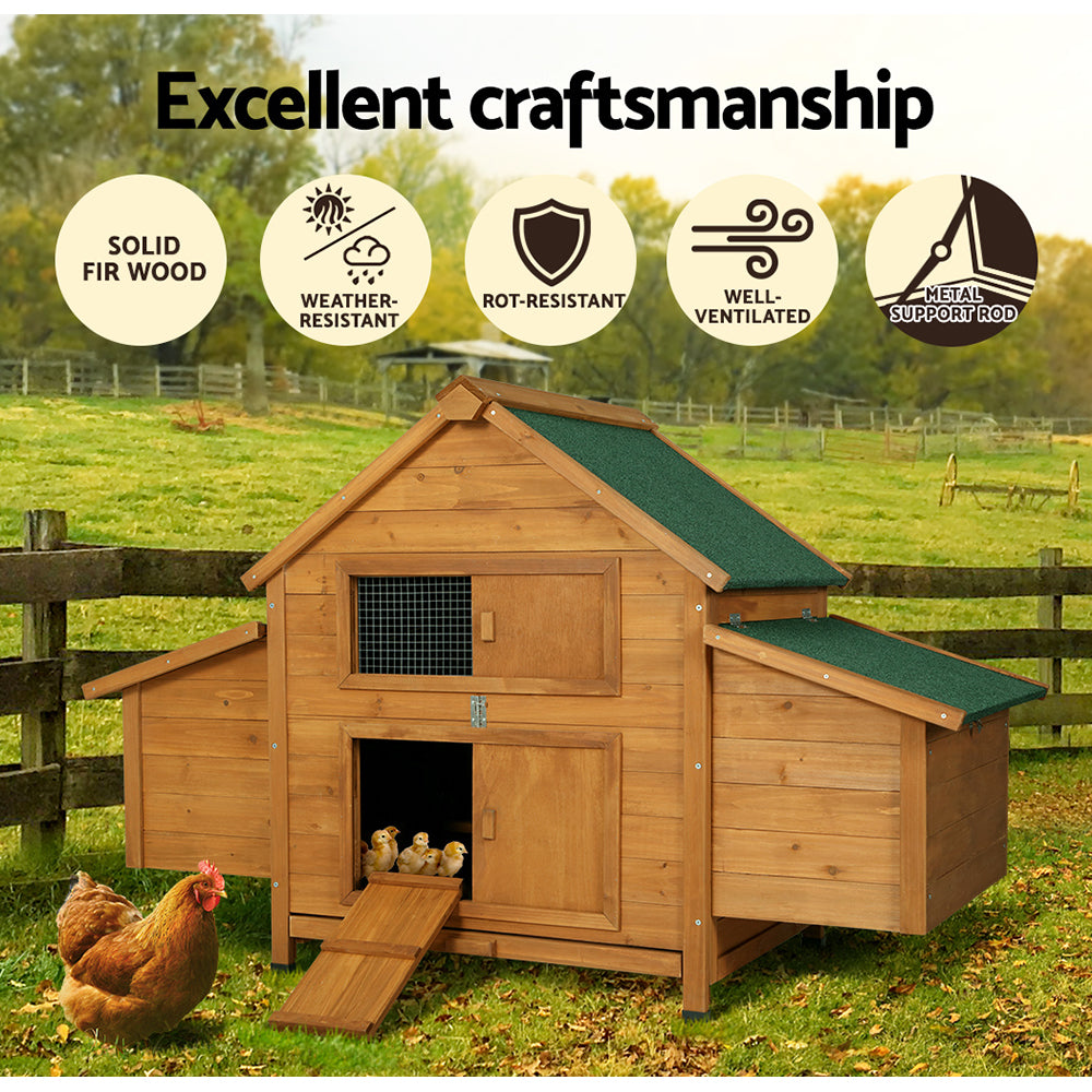 PETCHIDCNESTIEBR04jpg Urban Pet Play Ltd | AwardWinning Pet Care Pet Shop