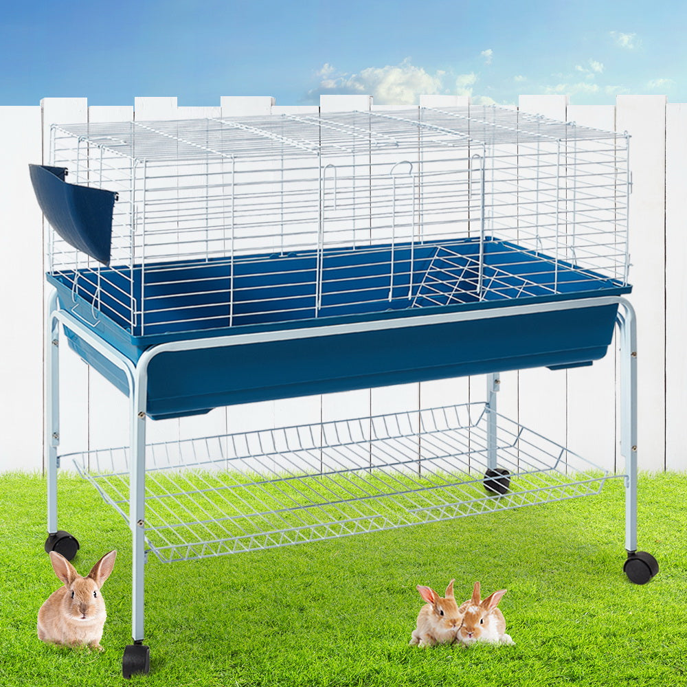 PETRABCAGERT00299jpg Urban Pet Play Ltd | AwardWinning Pet Care Pet Shop
