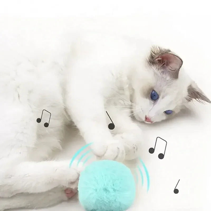 PlushInteractiveCatToyBallcashymart39142323912982jpg Urban Pet Play Ltd | AwardWinning Pet Care Pet Shop