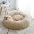 Sc281f31a70c149129d389bc31677ecf7242ee0d8a40314d30a3853d28ba515af3jpg Urban Pet Play Ltd | AwardWinning Pet Care Pet Shop