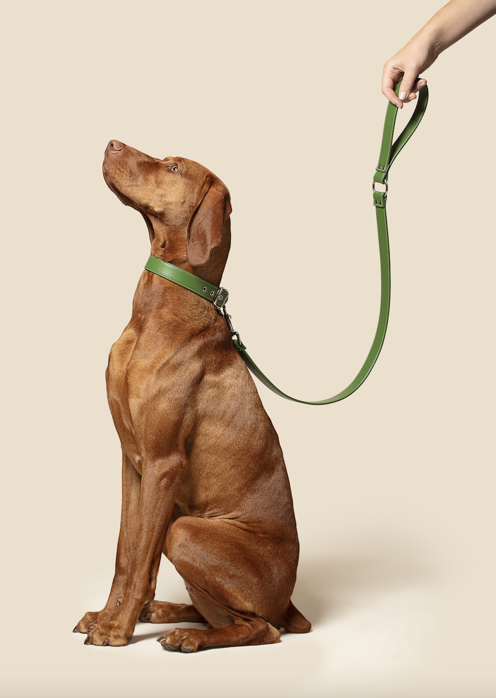 Screenshot20230118at10462576db53452fa6465c91b15442c3b76be3png Urban Pet Play Ltd | AwardWinning Pet Care Pet Shop