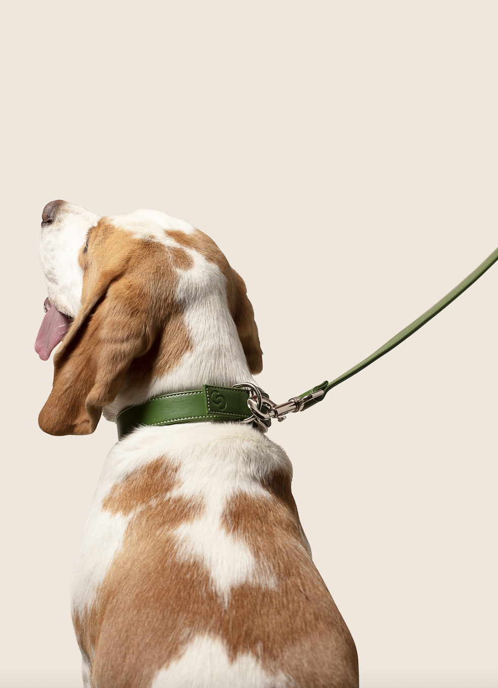 Screenshot20230118at104820png Urban Pet Play Ltd | AwardWinning Pet Care Pet Shop