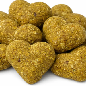 Happy Tummy Pumpkin Ginger Probiotic Crunchy Dog Treats | BeyondWhiskers