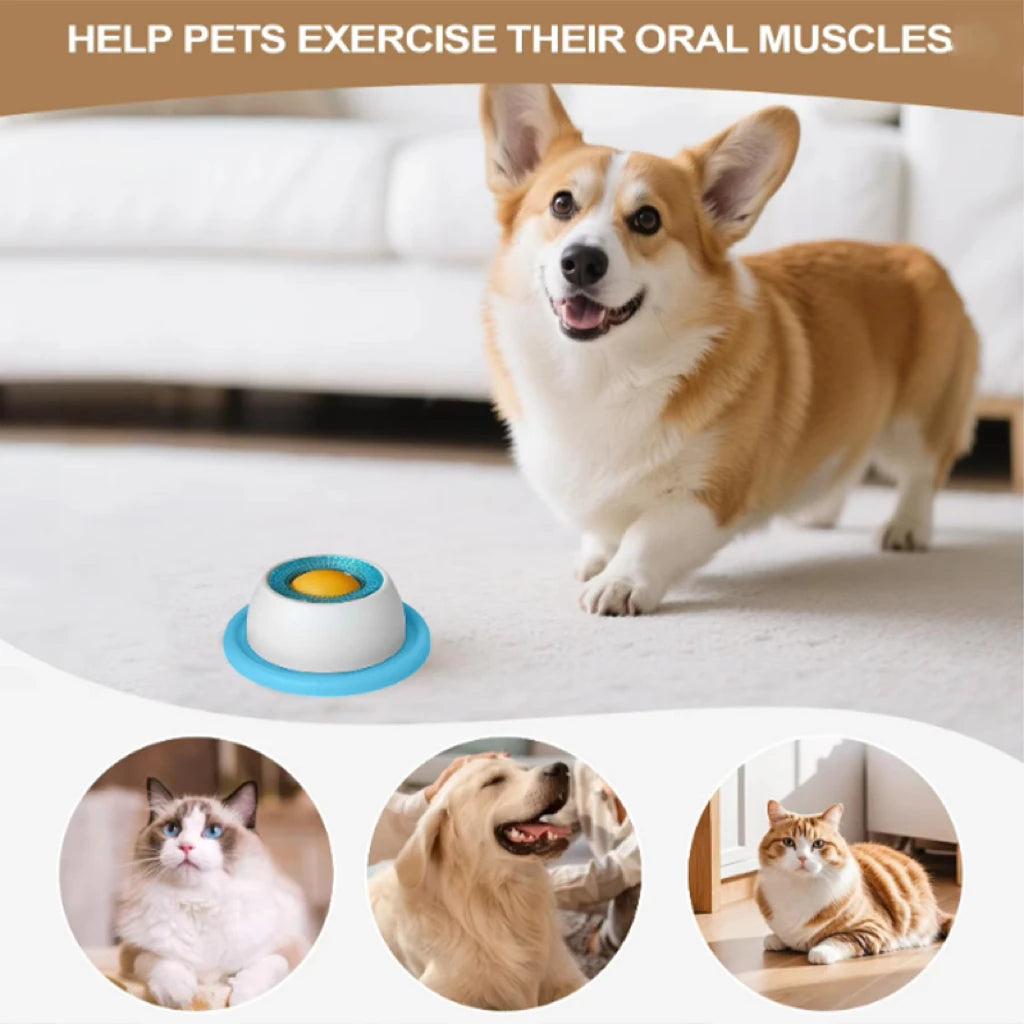 SlowFeederDogLickingToycashymart45469420323094jpg Urban Pet Play Ltd | AwardWinning Pet Care Pet Shop