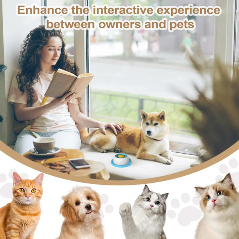 SlowFeederDogLickingToycashymart45469420421398jpg Urban Pet Play Ltd | AwardWinning Pet Care Pet Shop