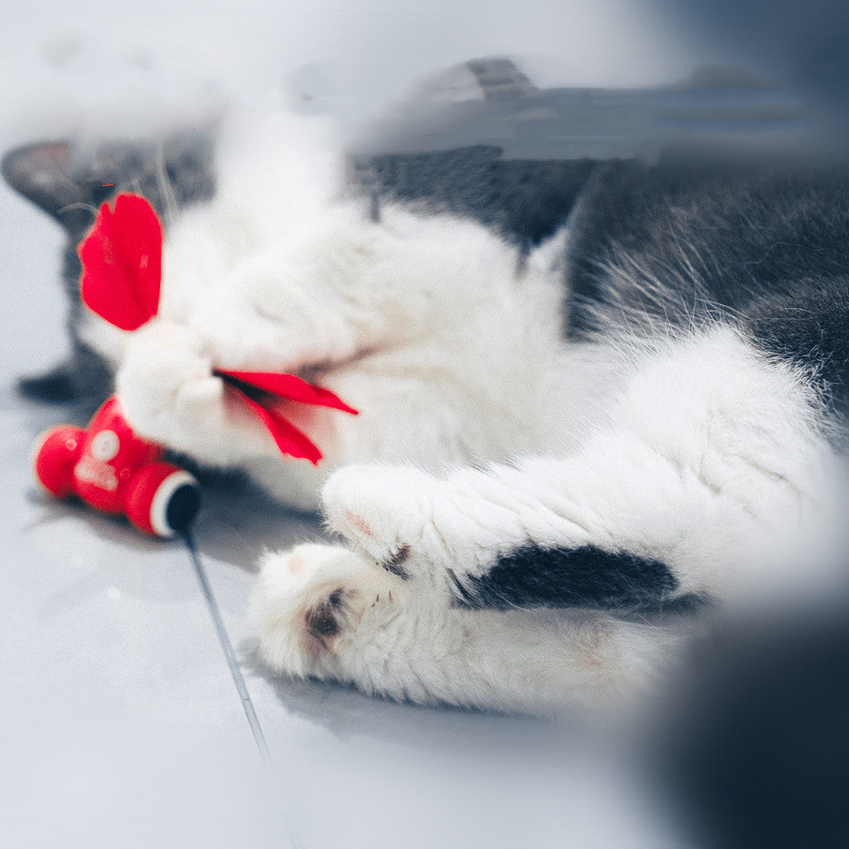 SmartCatPlaytimeSetcashymart35578232209686jpg Urban Pet Play Ltd | AwardWinning Pet Care Pet Shop