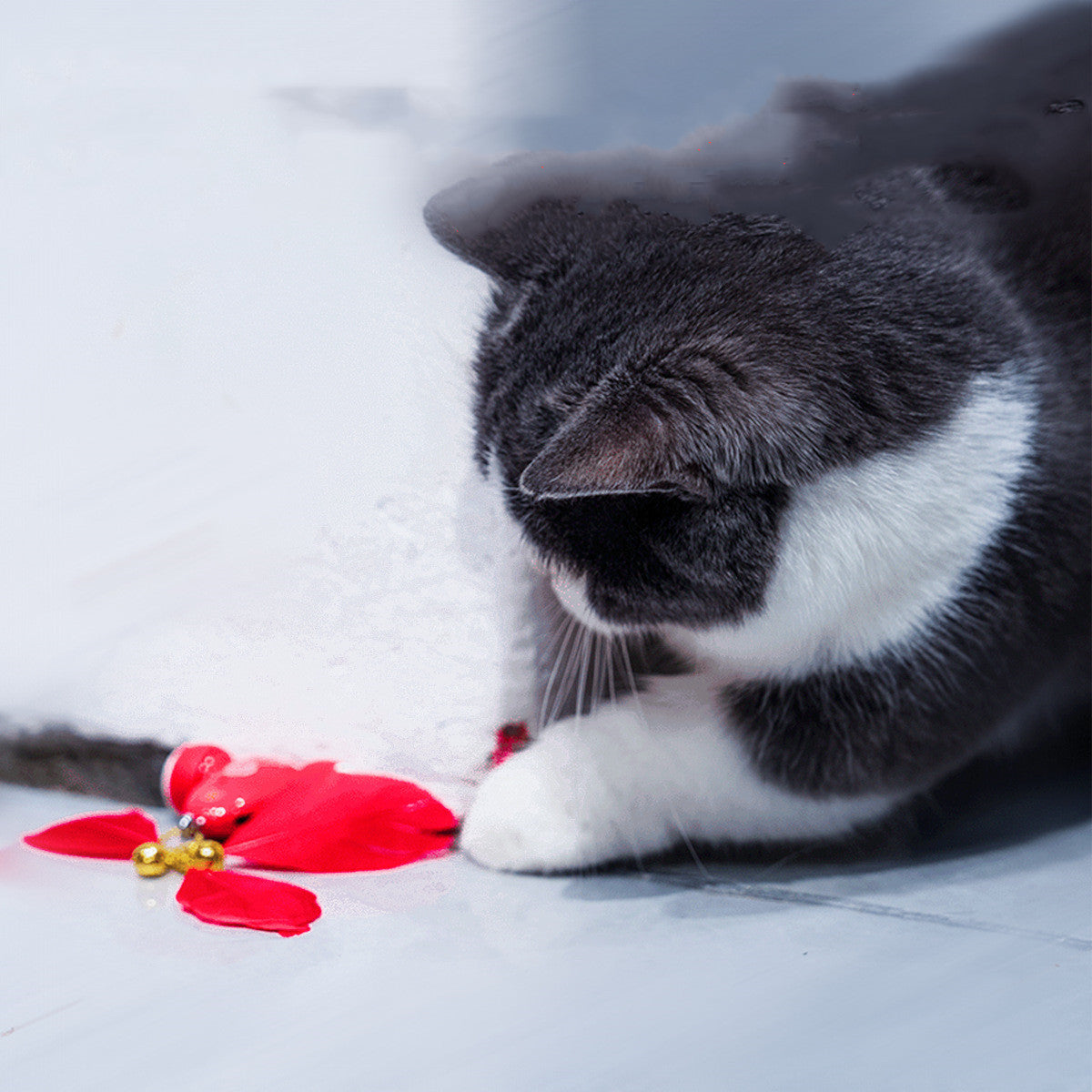 SmartCatPlaytimeSetcashymart35578232668438jpg Urban Pet Play Ltd | AwardWinning Pet Care Pet Shop