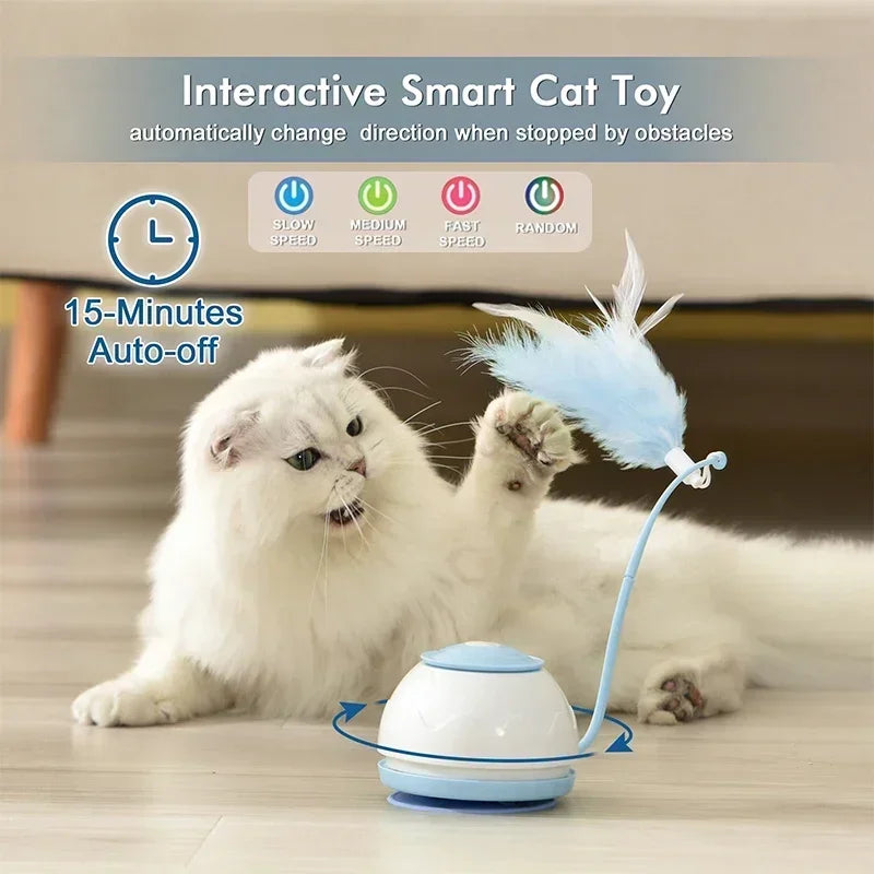SmartCatToyscashymart39142295306518jpg Urban Pet Play Ltd | AwardWinning Pet Care Pet Shop