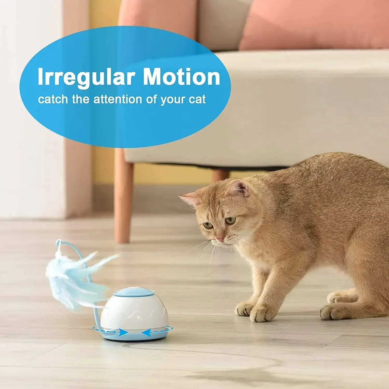 SmartCatToyscashymart39142295339286jpg Urban Pet Play Ltd | AwardWinning Pet Care Pet Shop