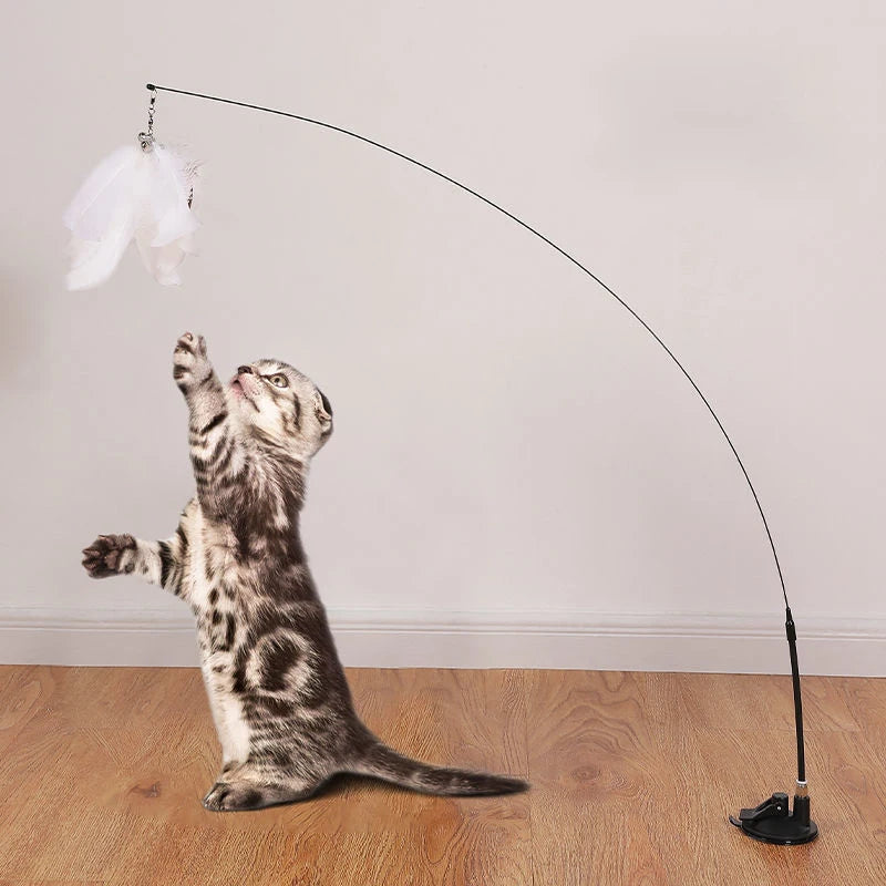 SuctionCupCatPlayToycashymart39142341869846jpg Urban Pet Play Ltd | AwardWinning Pet Care Pet Shop