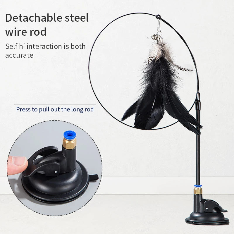 SuctionCupCatPlayToycashymart39142341902614jpg Urban Pet Play Ltd | AwardWinning Pet Care Pet Shop