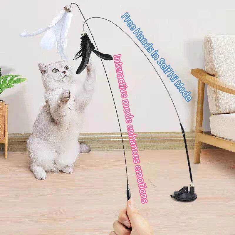SuctionCupCatPlayToycashymart39142341968150jpg Urban Pet Play Ltd | AwardWinning Pet Care Pet Shop