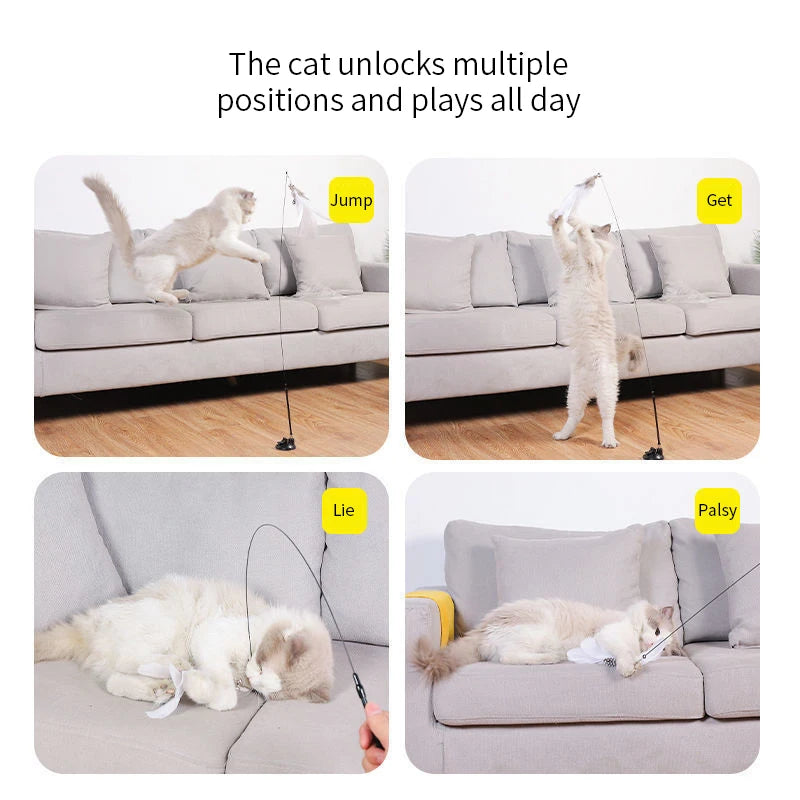 SuctionCupCatPlayToycashymart39142342000918jpg Urban Pet Play Ltd | AwardWinning Pet Care Pet Shop