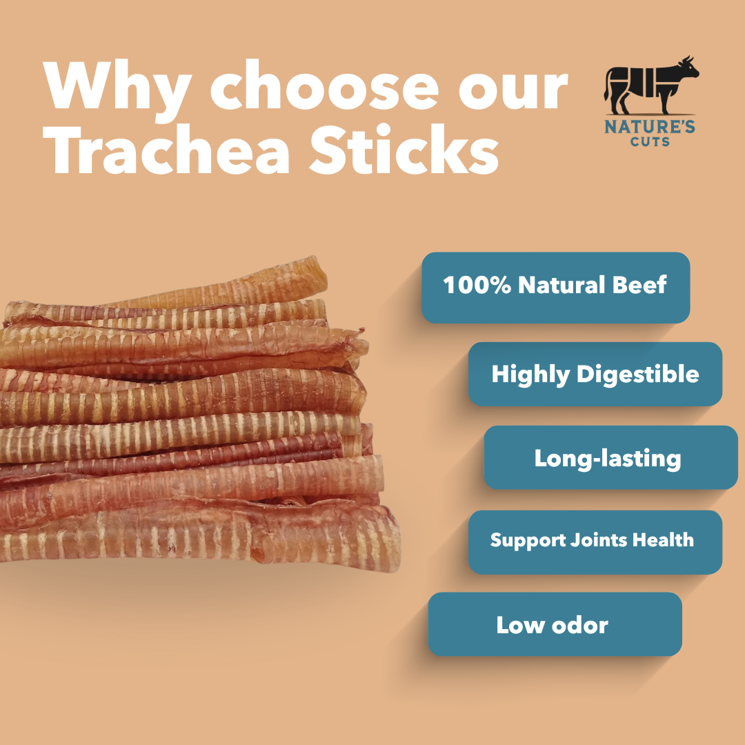 Tracheawhyourspng Urban Pet Play Ltd | AwardWinning Pet Care Pet Shop