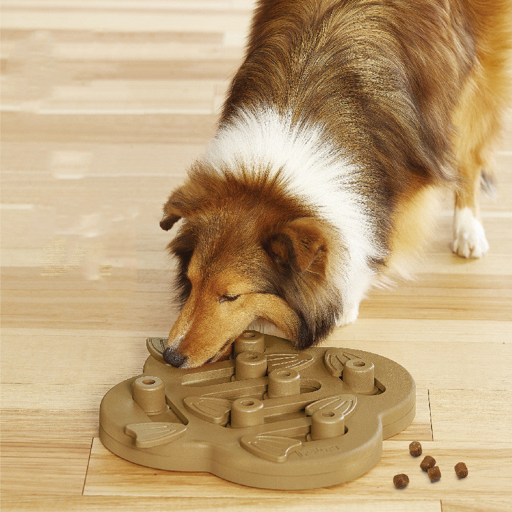 UltimatePlaytimeCompanionforPetscashymart35591802192150jpg Urban Pet Play Ltd | AwardWinning Pet Care Pet Shop