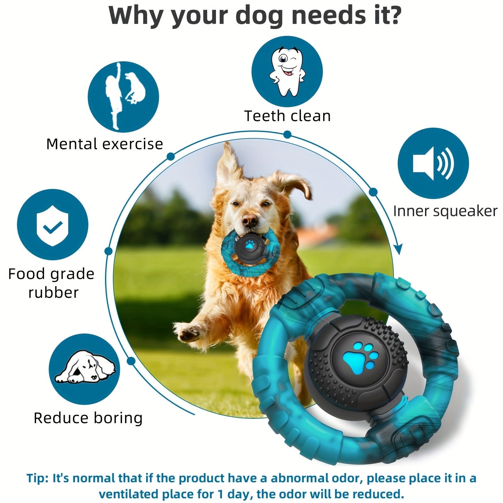 a25fe4e75e2b42348d1883a0255365f61jpg Urban Pet Play Ltd | AwardWinning Pet Care Pet Shop