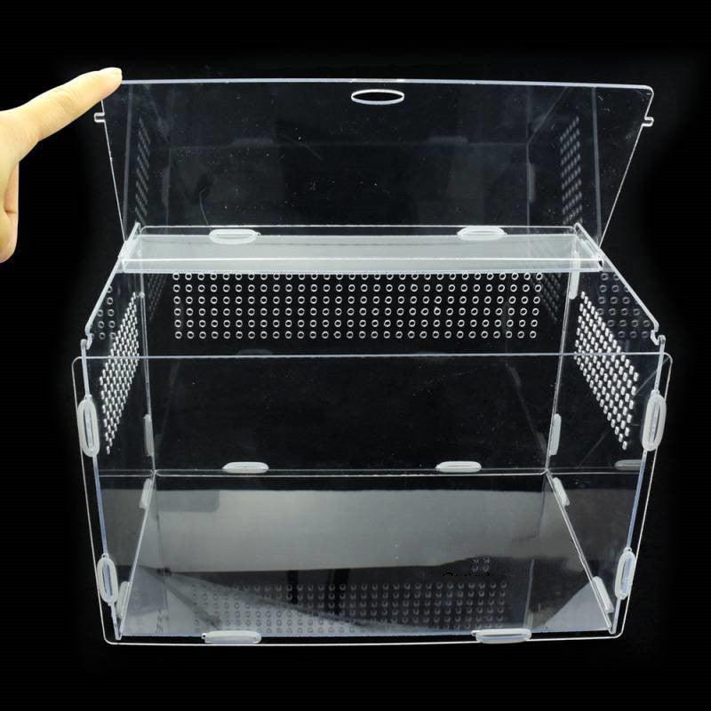 acrylicreptilefeedinghabitattransparentthermalbox122570jpg Urban Pet Play Ltd | AwardWinning Pet Care Pet Shop