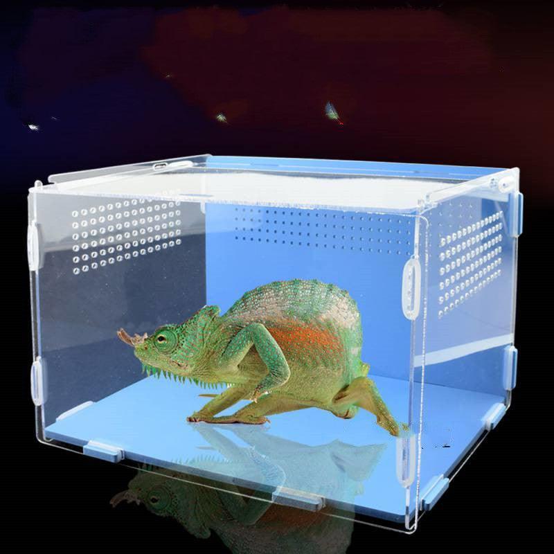 acrylicreptilefeedinghabitattransparentthermalbox218154jpg Urban Pet Play Ltd | AwardWinning Pet Care Pet Shop