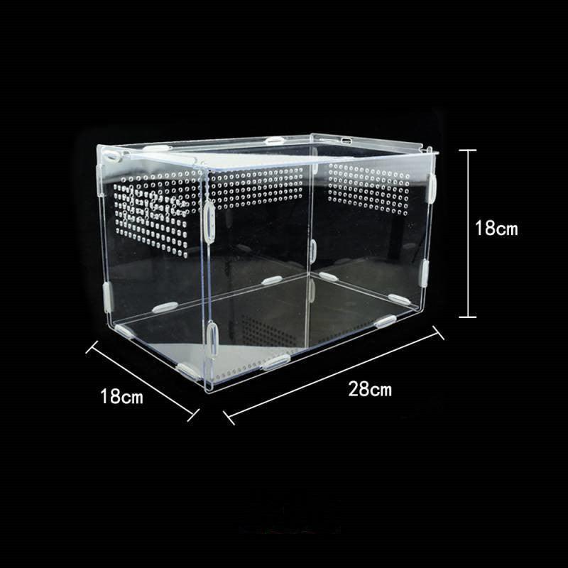 acrylicreptilefeedinghabitattransparentthermalbox533008jpg Urban Pet Play Ltd | AwardWinning Pet Care Pet Shop