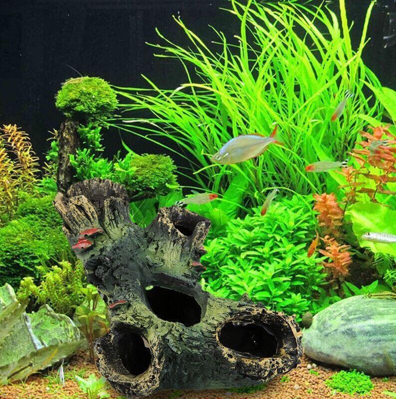 aquariumenchantedforestdecor627106jpg Urban Pet Play Ltd | AwardWinning Pet Care Pet Shop