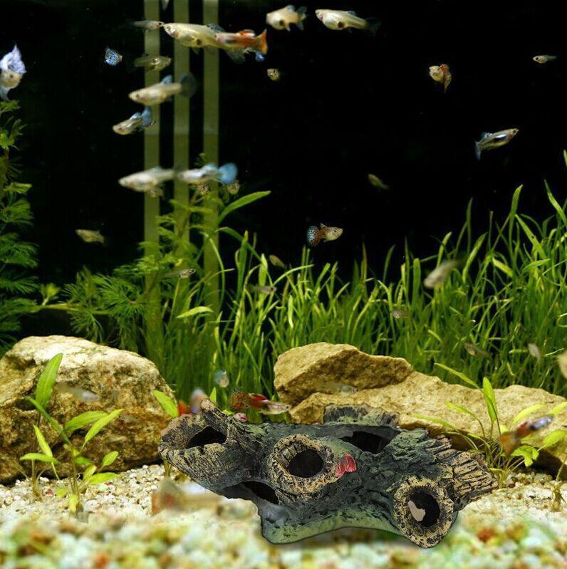 aquariumenchantedforestdecor793033jpg Urban Pet Play Ltd | AwardWinning Pet Care Pet Shop