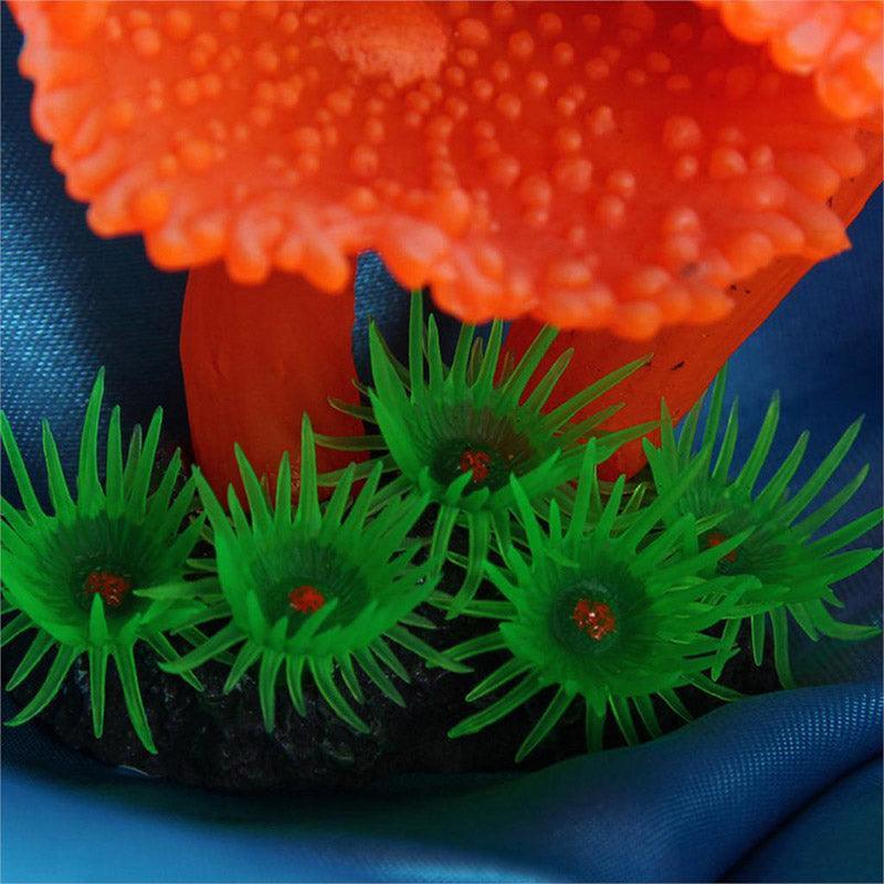 aquaticcoraloasis599281jpg Urban Pet Play Ltd | AwardWinning Pet Care Pet Shop