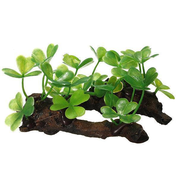 aquaticoasisdecorset148106jpg Urban Pet Play Ltd | AwardWinning Pet Care Pet Shop