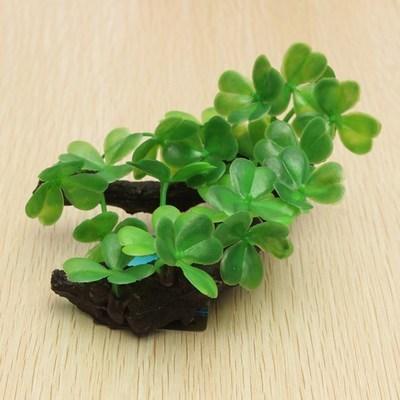 aquaticoasisdecorset281819jpg Urban Pet Play Ltd | AwardWinning Pet Care Pet Shop
