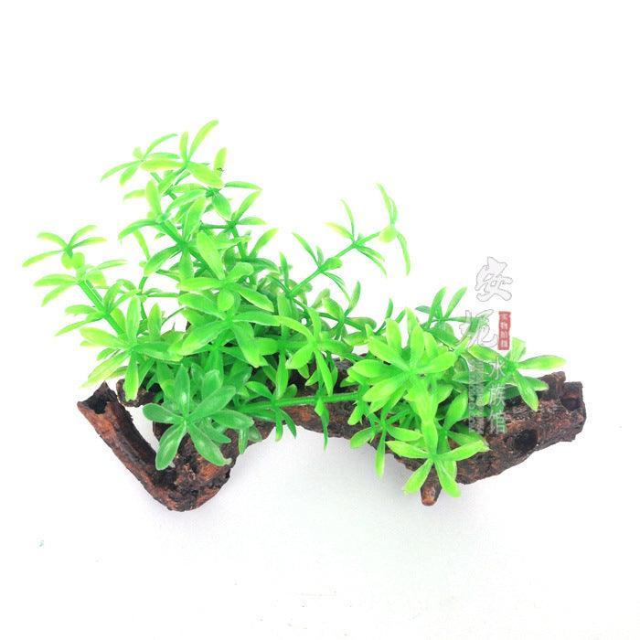 aquaticoasisdecorset913064jpg Urban Pet Play Ltd | AwardWinning Pet Care Pet Shop